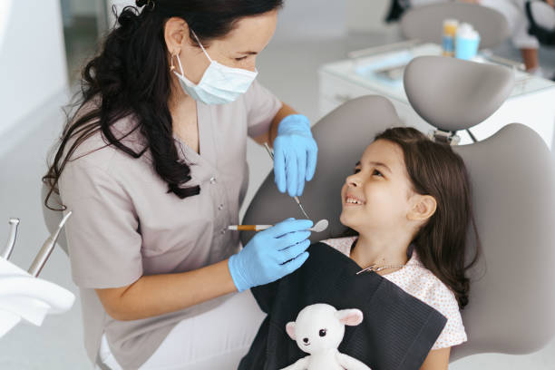 Best Emergency X-Rays and Diagnostics in Wollochet, WA